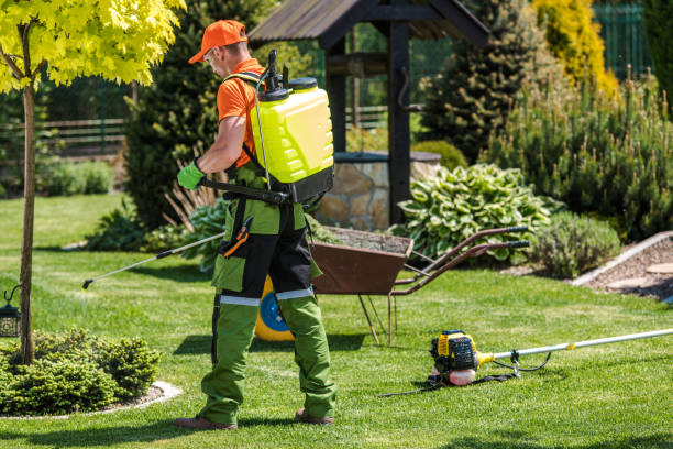 Lawn Pest Control in Ironton, OH